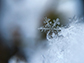 a crystal snowflake