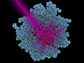 rhodium nanoparticles (blue)