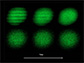 a density wave through a gas of ultracold atoms