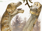 life reconstruction of Abydosaurus mcintoshi