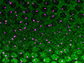 a Drosophila embryo showing the Dorsal protein gradient (green)