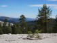 Sierra Nevada Mountain forests