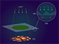 material with optical properties