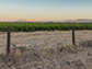 hills and dry grass surround farmland in Tulare County, California
