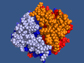 molecular model of the FLR protein