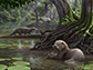 artist's rendering of Siamogale melilutra, a giant prehistoric otter