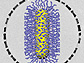 News thumbnail of hybrid nanorods