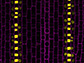 protein in yellow moves out of the guard cells into cells on both sides