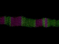 nanorod surfaces and twin boundary defects