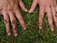 hands in dirt and grass