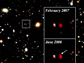 the Subaru Deep Field shows mostly galaxies