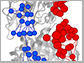 IGPS enzyme