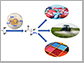 simplifying synthesis of valuable precursor for drugs