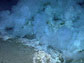 smoke ad rock formations on the ocean floor