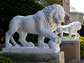 lion statues