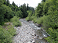 Lookout Creek in the H.J. Andrews Experimental Forest