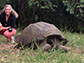 Louise Mead with a large turtle