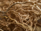 the dried root system of a maize plant