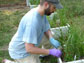 Benjamin Colman working on a mesocosm