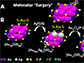 schematic of molecular surgery on a 23-atom gold nanoparticle