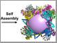 a molecular cage