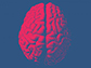 monochrome brain