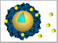 light-activated nanoshells with the anti-cancer drug lapatinib