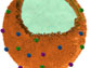 a nanosponge