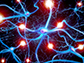 a normal mouse neuron with intact docking stations