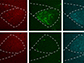 images demonstrate the increased efficiency of the improved retrograde viral tracing method