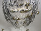 an observation nest of yellow jacket wasps