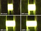images of a stretchable OLED