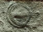 fossil imprint of Parvancorina