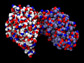 different characteristic PGK structures