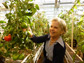 Ann Powell checks on green and ripe tomato fruit