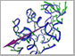 an illustration of proteins in a clamping motion