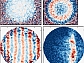 atoms detected in the ground state (blue) or excited state (red)