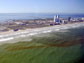 Red tide in the Gulf of Mexico