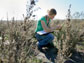 researcher at a sagebrush site