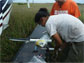 researchers measure a sediment sample