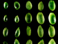 arabidopsis seeds