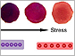 images showing the color change of the sensor film