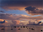 fishers at dawn in Solomon Islands