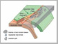 tectonic plates in the Solomon Island