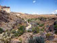 hills, plants & dry land in the southwestern U.S.