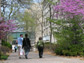 students walking on campus