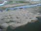 the Bonnet Carré Spillway in Lousiana