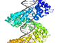 the structure of a TAL effector protein