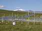 experimental site at the Haibei Alpine Grassland Ecosystem Research Station