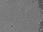 thin film made of porous nanoparticles of calcium and silicate